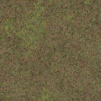 Asset preview